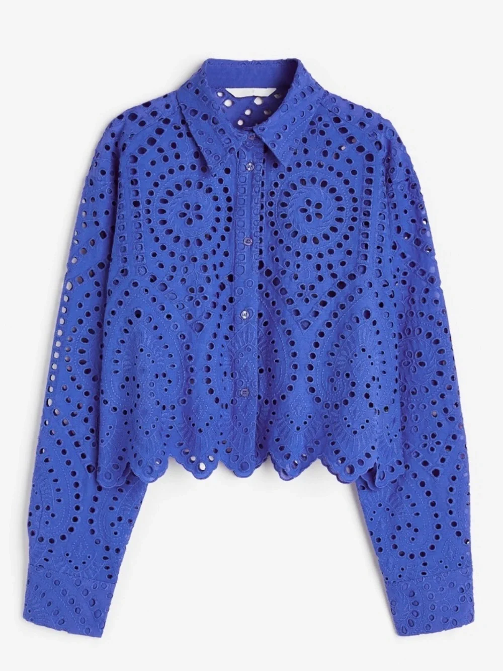 Eyelet Embroidered Button-Front Shirt